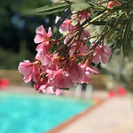 Alloro Vacanze 3 *