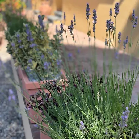 アパート Alloro Vacanze 3 カパンノリ